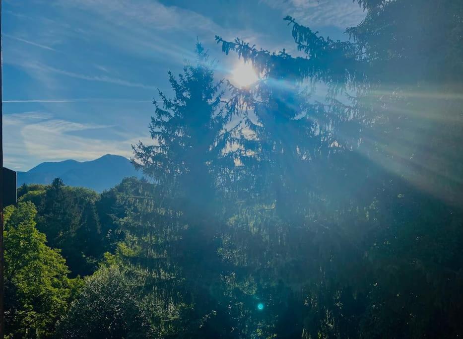 T2 Cocon Avec Balcon Et Parking Leilighet La Roche-sur-Foron Eksteriør bilde